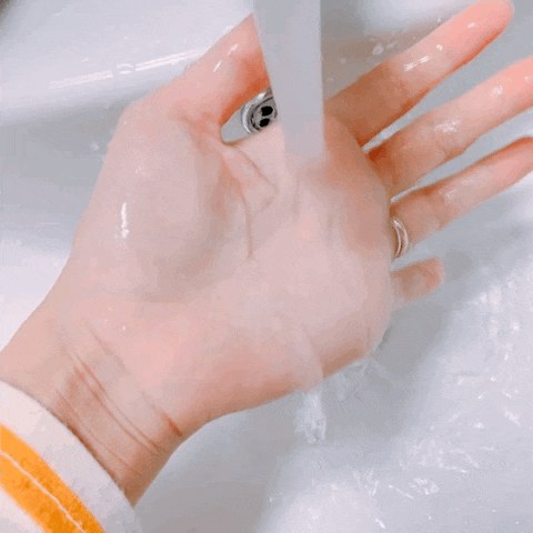 손 세정